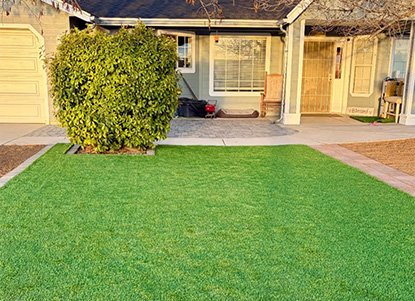 Professional Landscaping Prescott